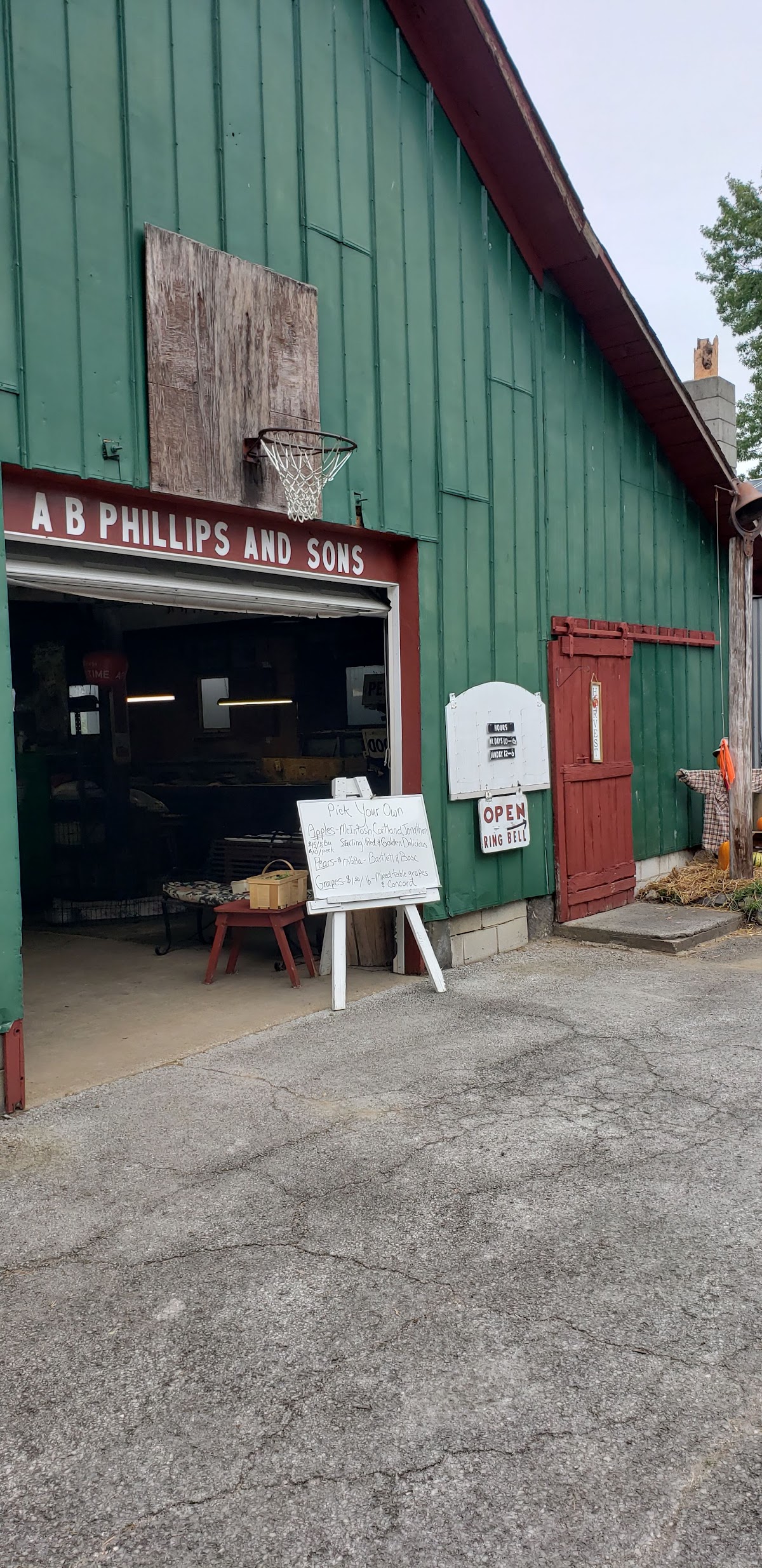 A.B. Phillips & Sons Fruit Farm apple orchard in Berlin Heights, Ohio