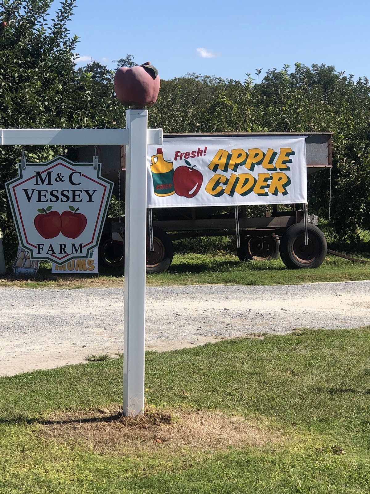 M & C Vessey Farm apple orchard in Westover, Delaware