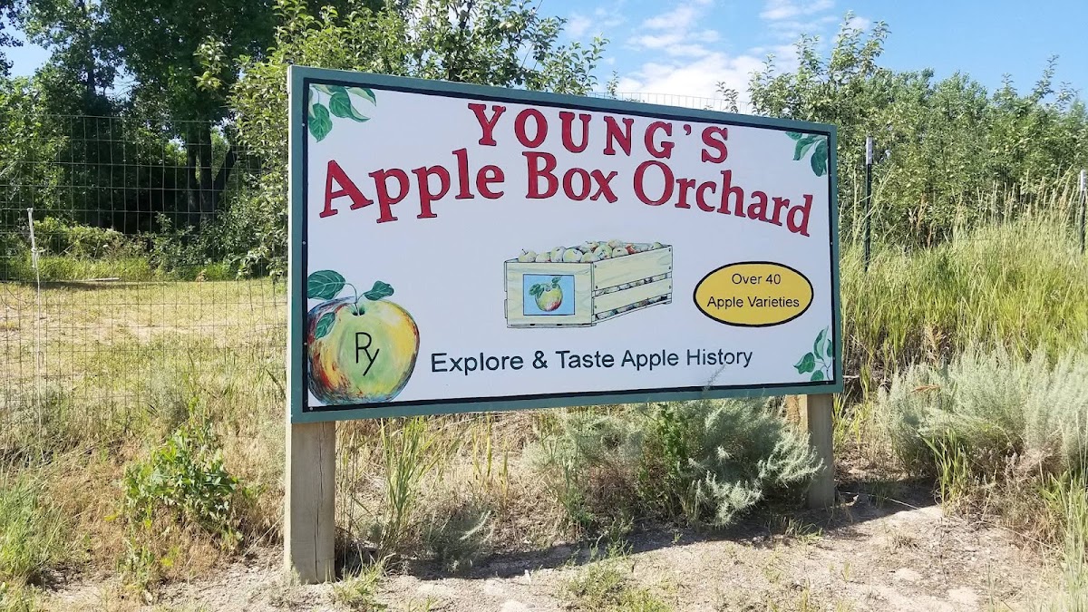 Pope Farm & Apple Orchard apple orchard in Lingle, Wyoming
