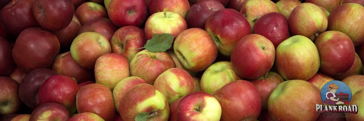 Plank Rd Orchard apple orchard in Sycamore, Illinois