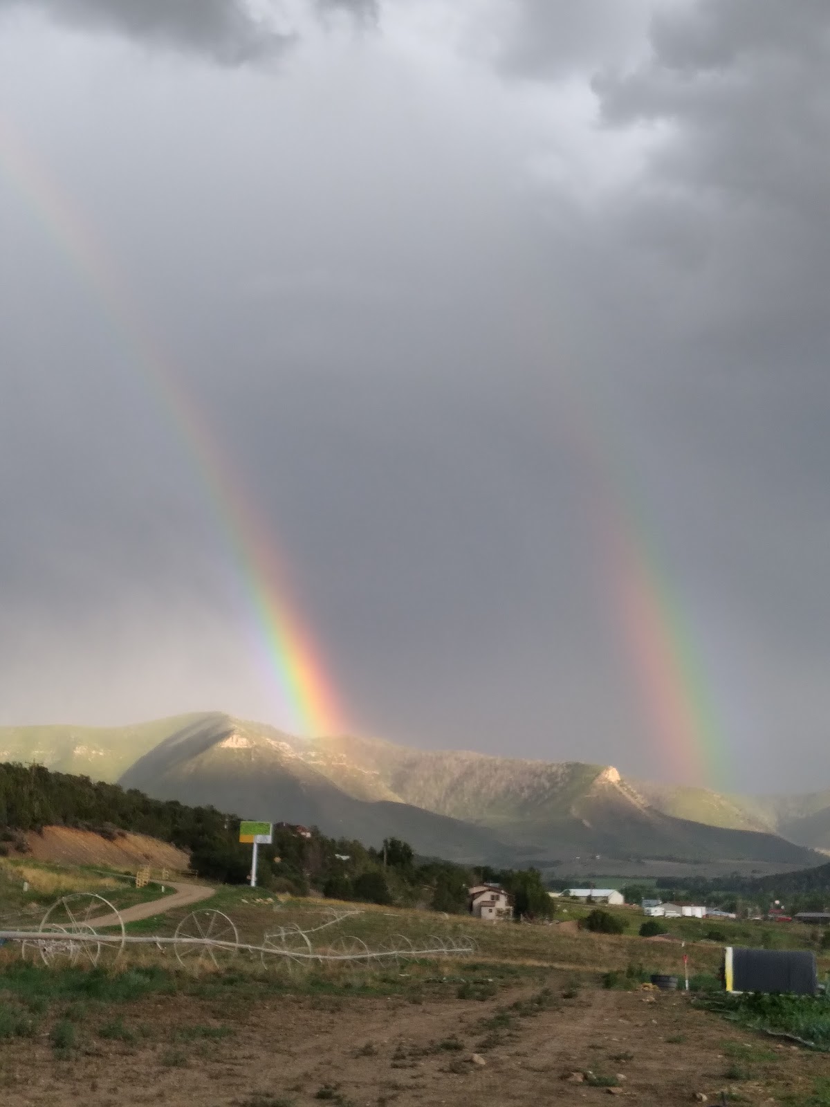 Southwest Farm Fresh Harvest Shares apple orchard in Mancos, Colorado
