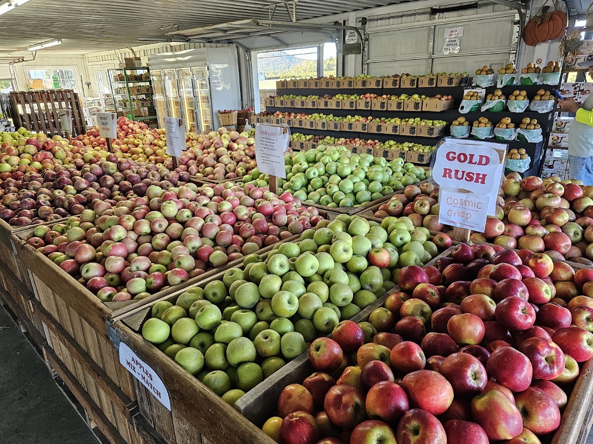 Knob Creek Orchards apple orchard in Lawndale, South Carolina