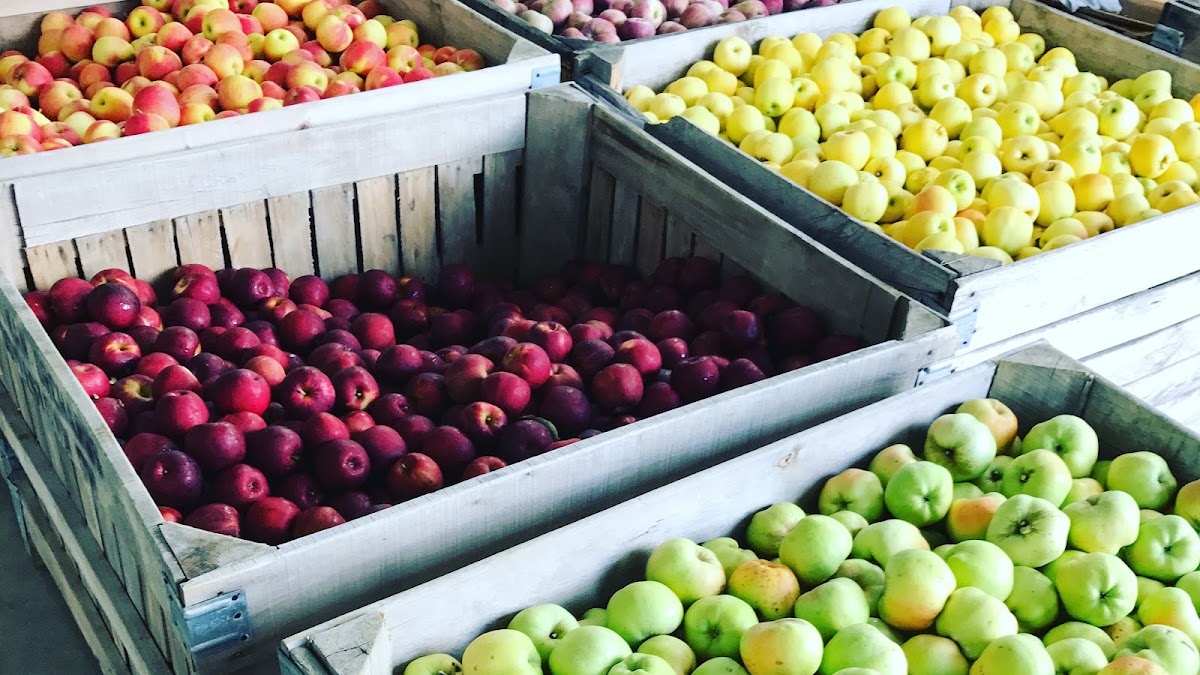 Rittman Orchards and Farm Market apple orchard in Doylestown, Ohio