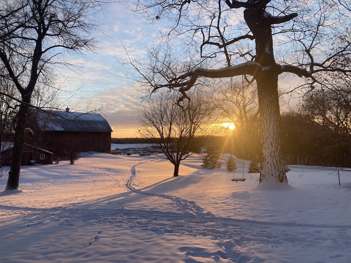 Foxtail Farm apple orchard in Osceola, Wisconsin