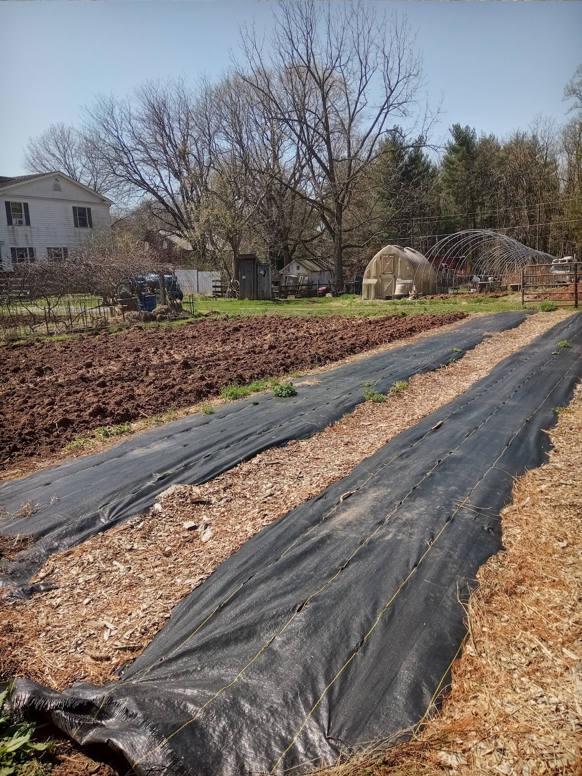 Sycamore Spring Farm apple orchard in Frederick, Maryland