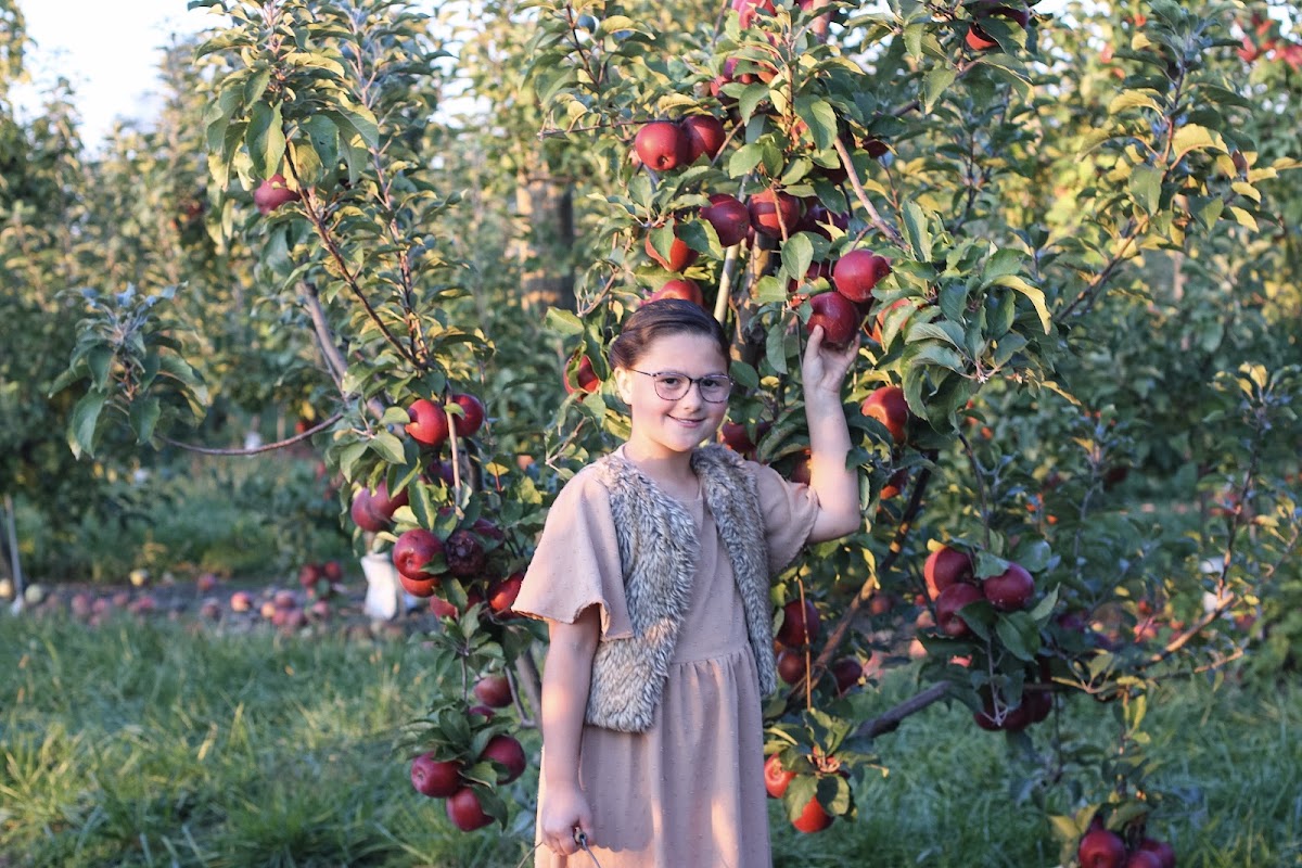 Brecknoc Orchard apple orchard in Mohnton, Pennsylvania