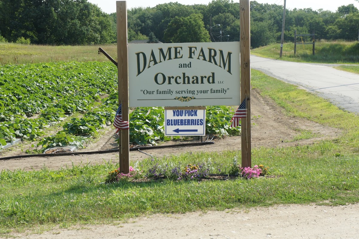 Dame Farm & Orchards apple orchard in Johnston, Rhode Island