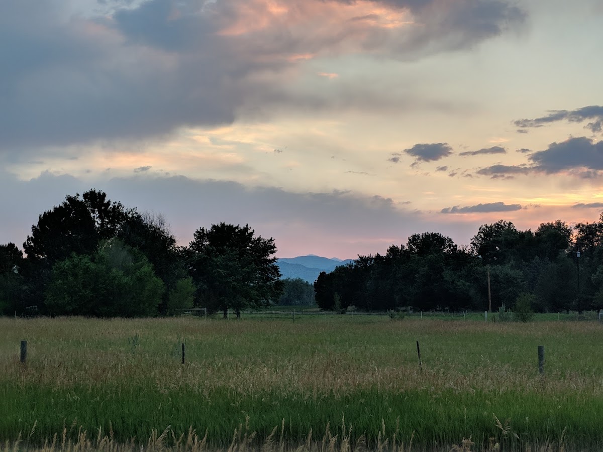 63rd St. Farm apple orchard in Boulder, Colorado