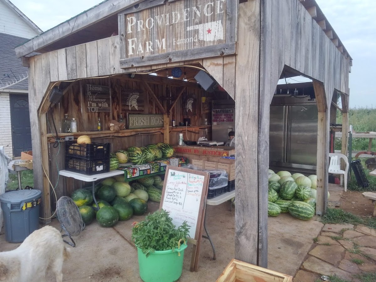 Providence Farms apple orchard in Edmond, Oklahoma