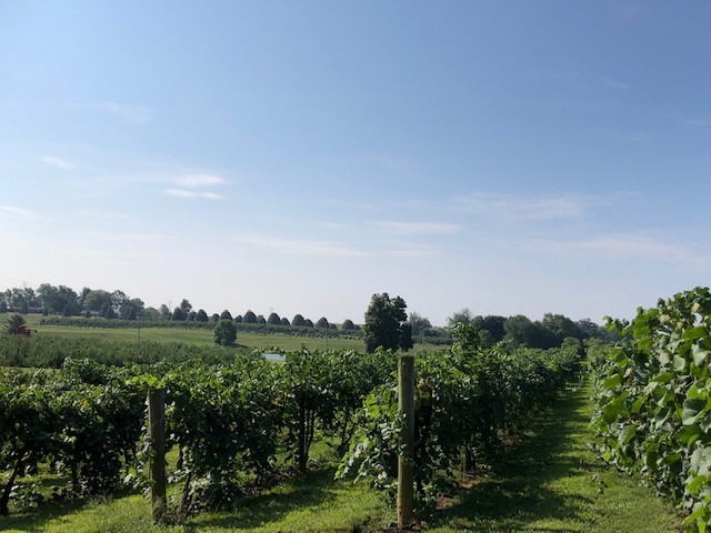Huber's Orchard & Winery apple orchard in Borden, Indiana