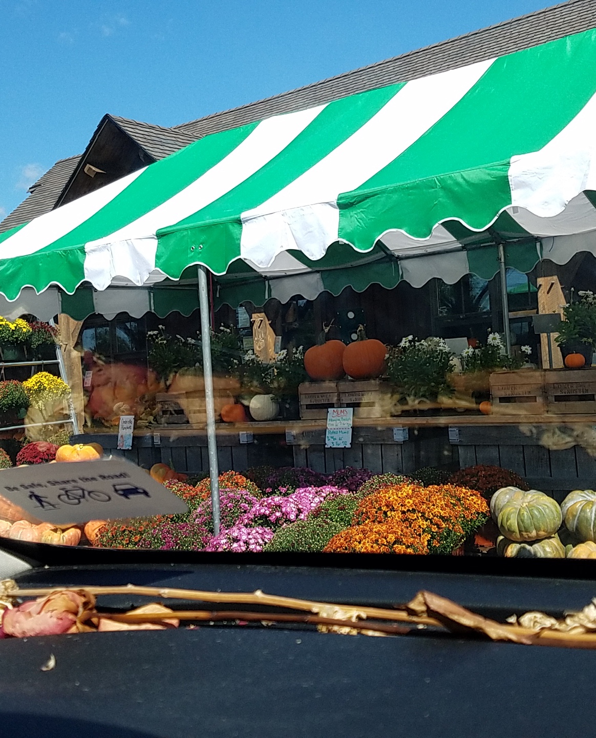 Wilson's Farm Market apple orchard in Bel Air, Maryland