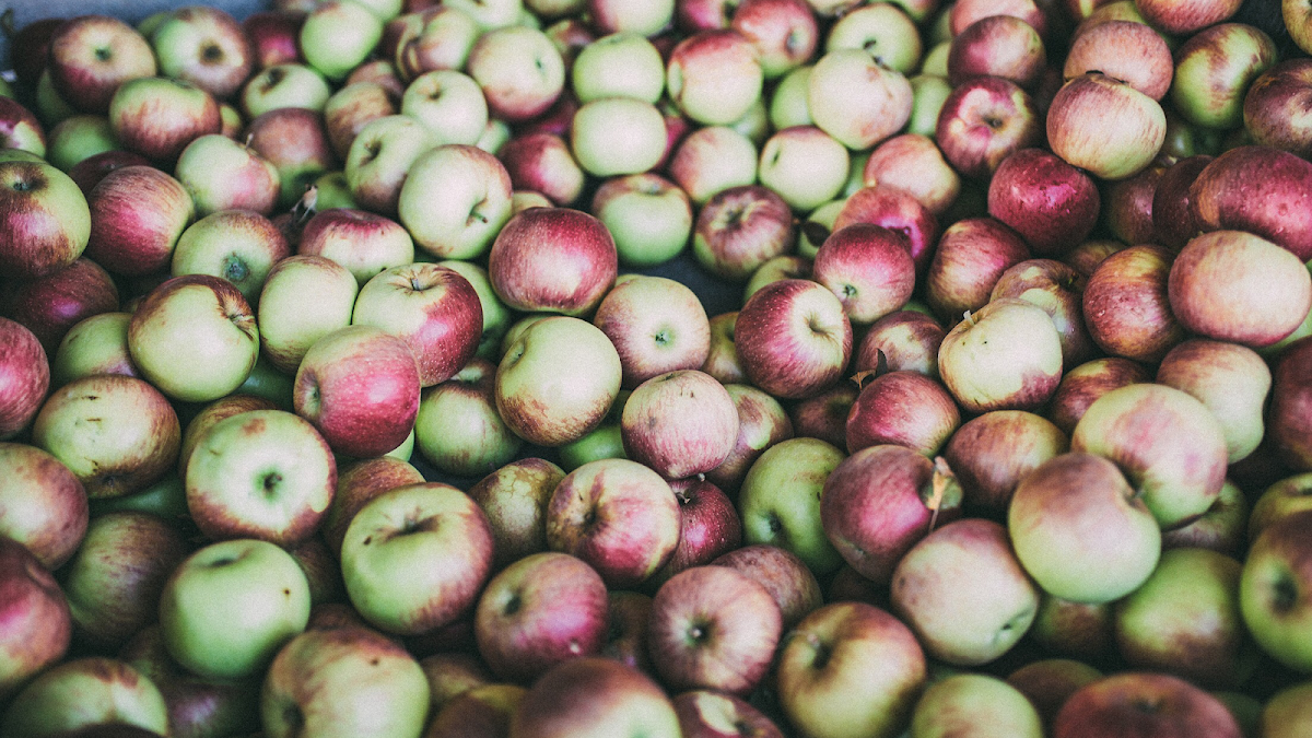 Knaebe's Mmmunchy Krunchy Apple Farm and Cider Mill apple orchard in Rogers City, Michigan
