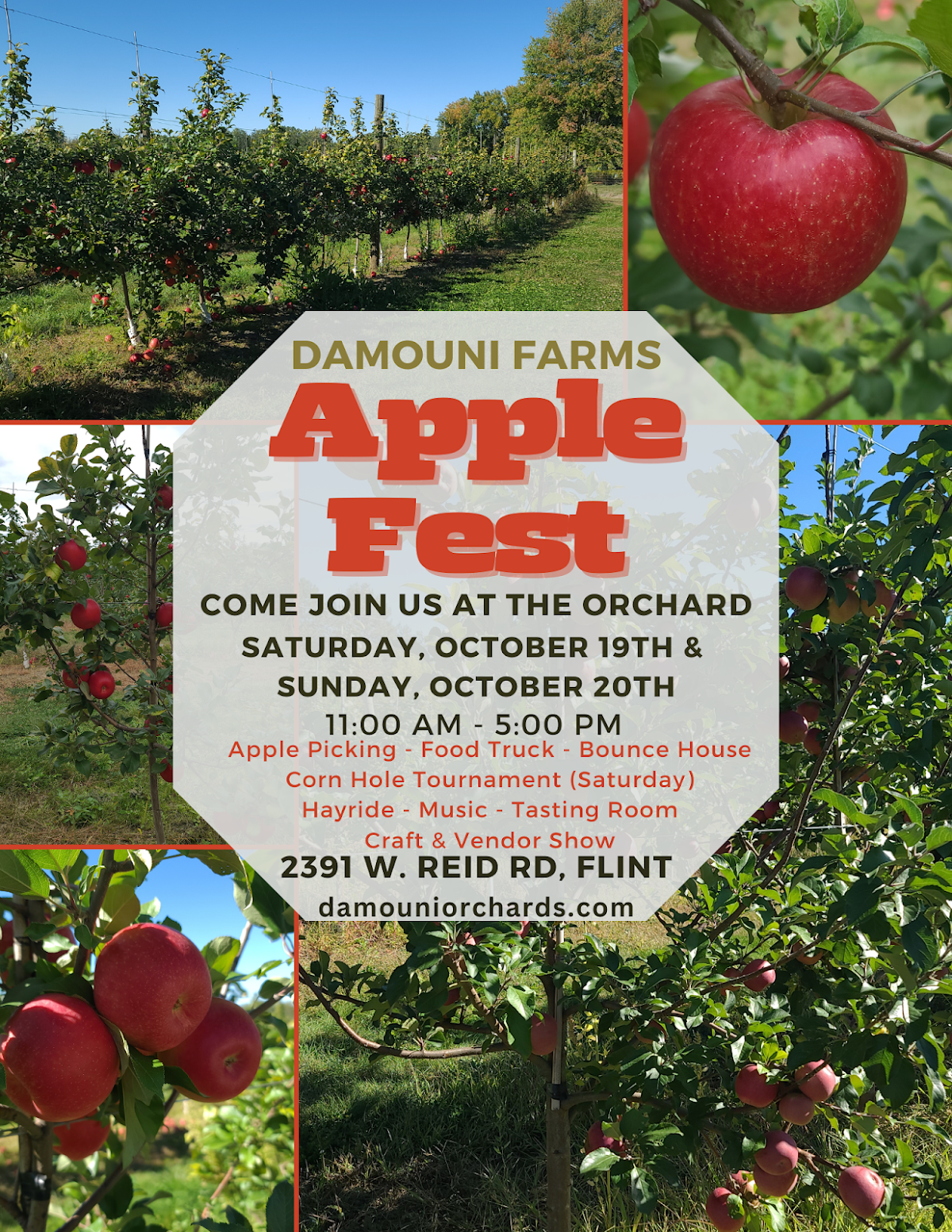 The Feminine Farmer apple orchard in Grand blanc, Michigan