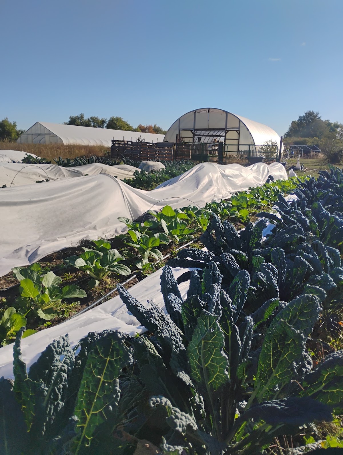 Friends Farm apple orchard in Louisville, Colorado