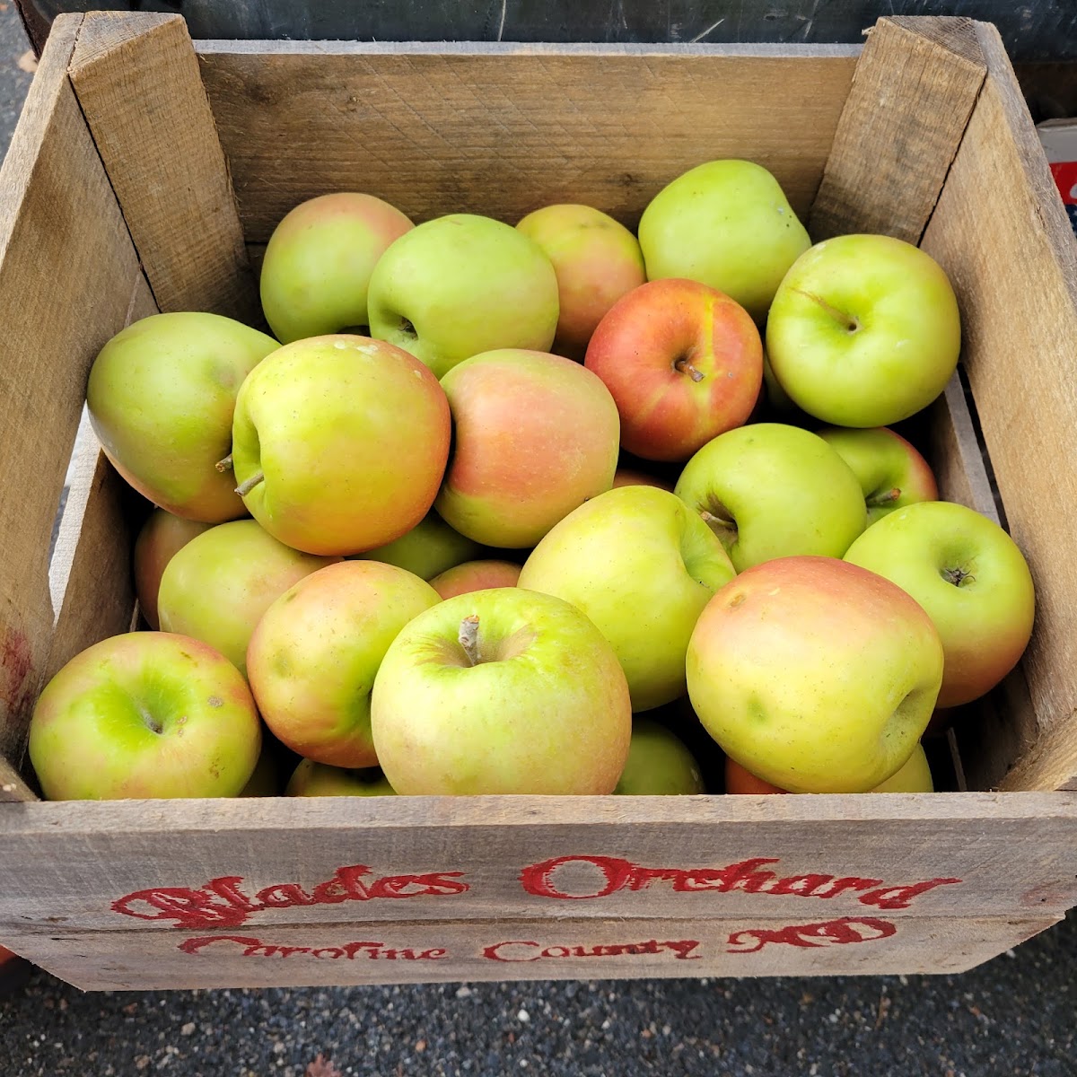 Blades Orchard at Friendship Farms apple orchard in Federalsburg, Maryland