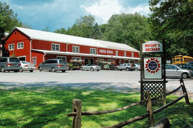 From the Farmer apple orchard in Washington, District of Columbia