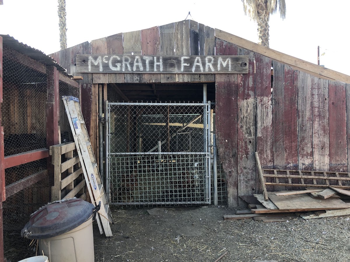 McGrath Family Farm CSA apple orchard in Camarillo, California