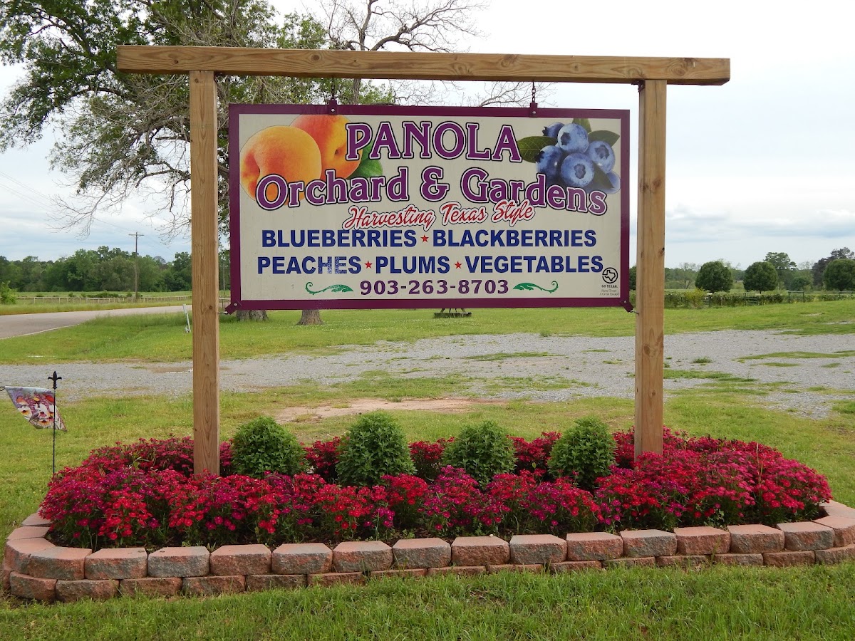 Panola Orchard and Gardens apple orchard in De Berry, Texas