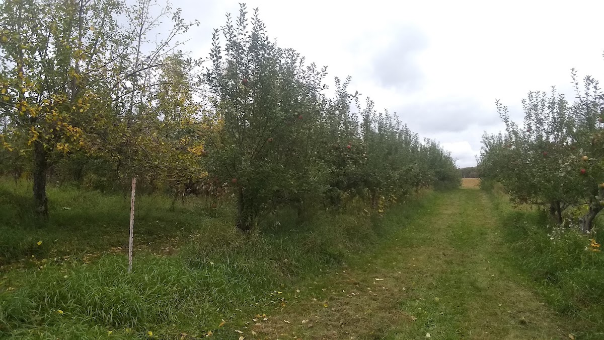 Circle K Orchard apple orchard in Beldenville, Wisconsin