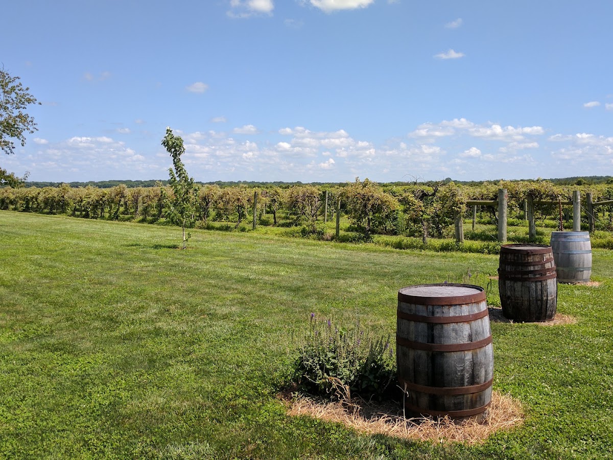 Davenport Orchards & Winery apple orchard in Eudora, Kansas