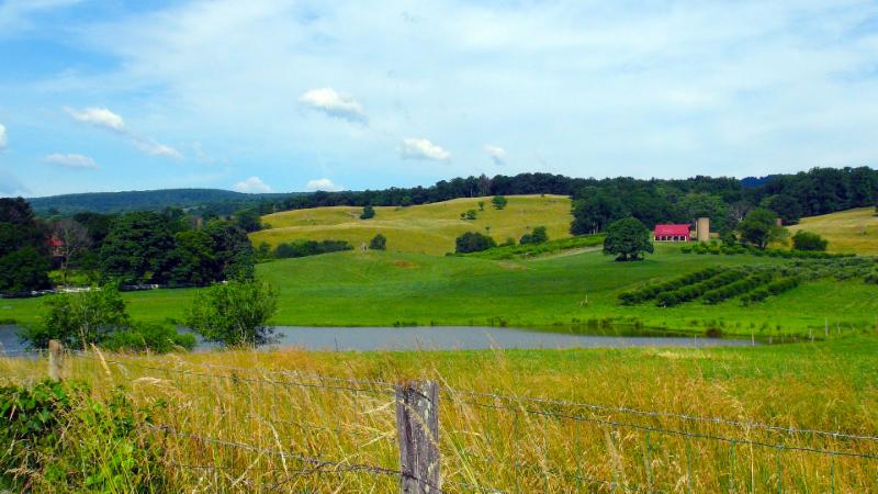 Valley View Farm apple orchard in Delaplane, Virginia