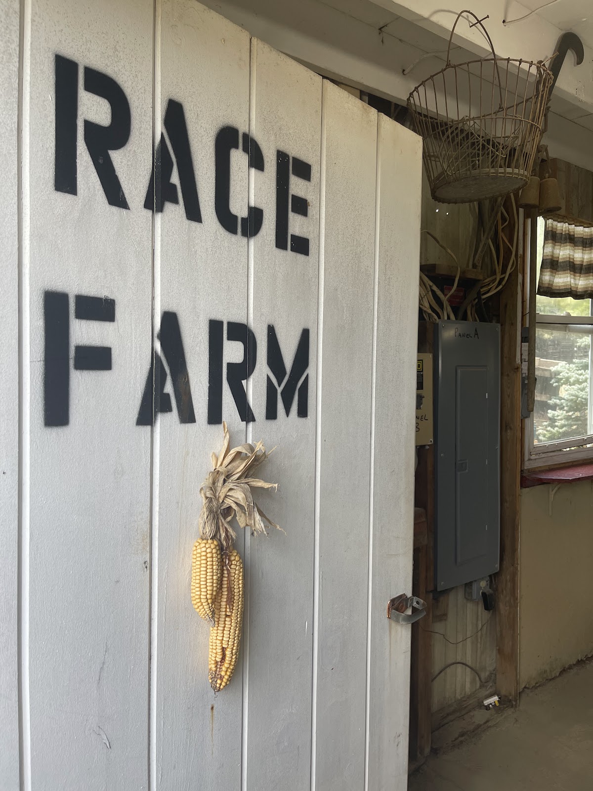 Race Farm apple orchard in Blairstown, New Jersey