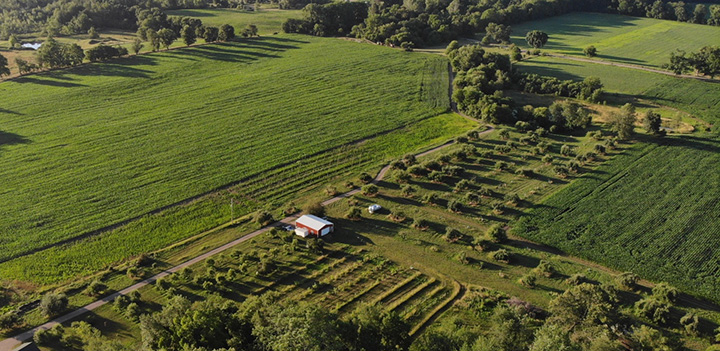 Orchard Beach Farm apple orchard in Quincy, Michigan