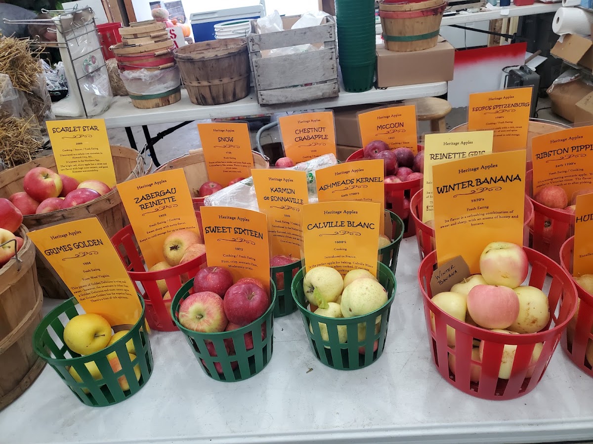 Blok Orchard apple orchard in Ada, Michigan