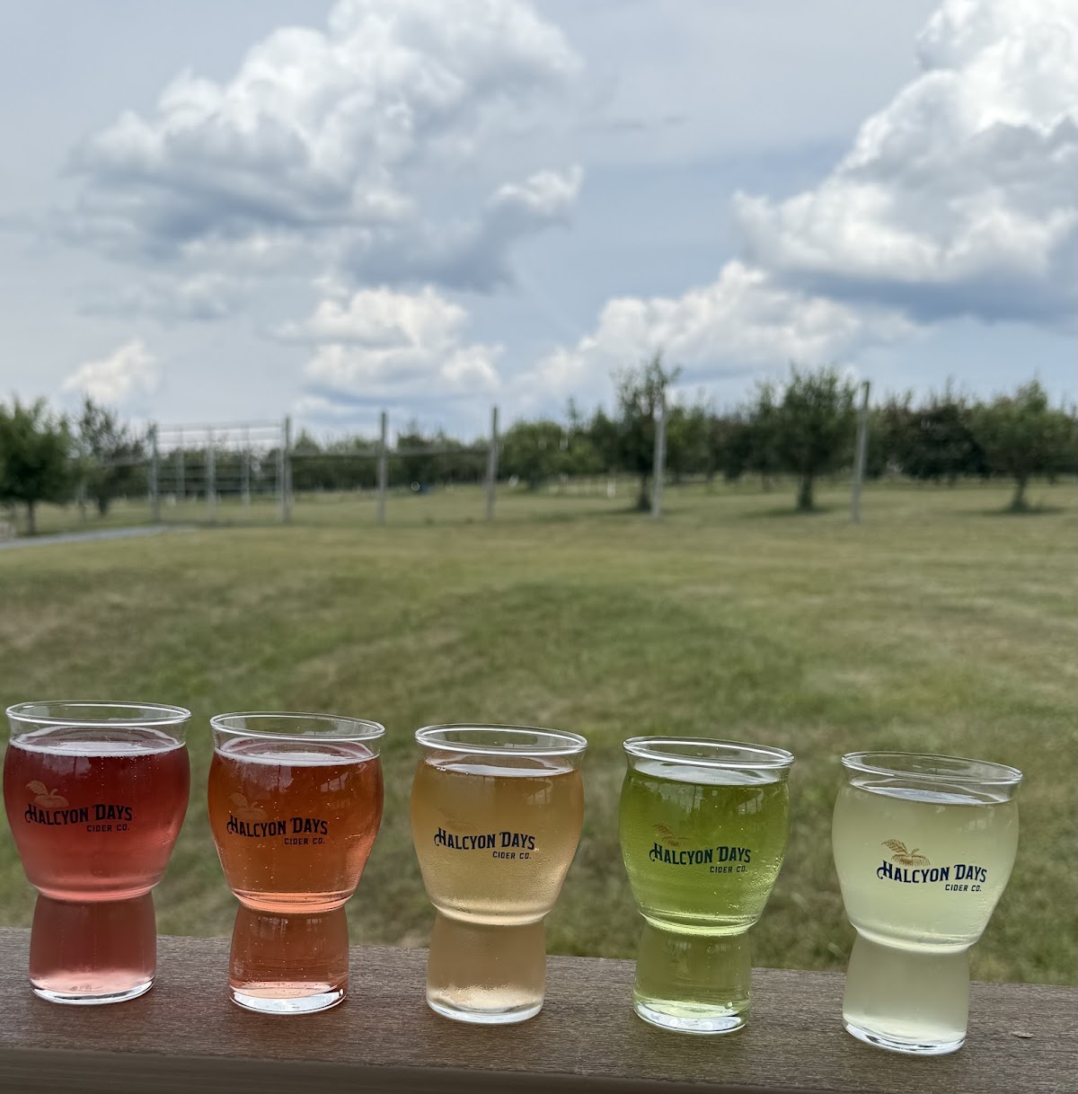Halcyon Days Cider Company apple orchard in Shenandoah Valley, Virginia