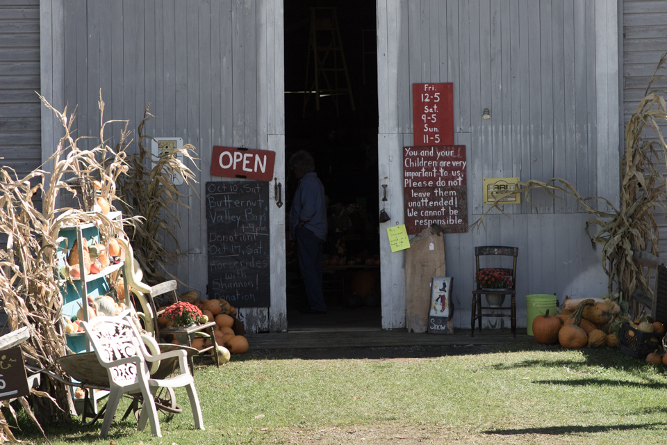 Willy's Farm And Cider Mill apple orchard in Schenevus, New York