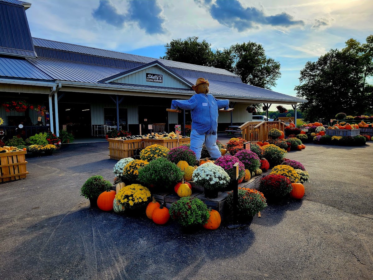Skelly\'s Farm Market apple orchard in Janesville, Wisconsin