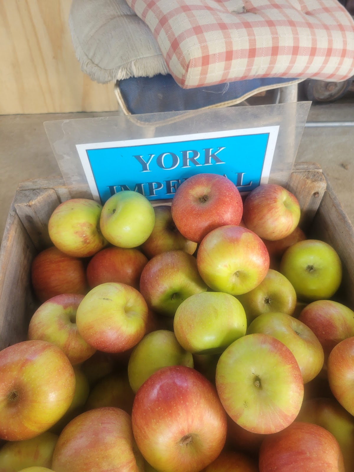Red Belly Farms apple orchard in Chilton, West Virginia