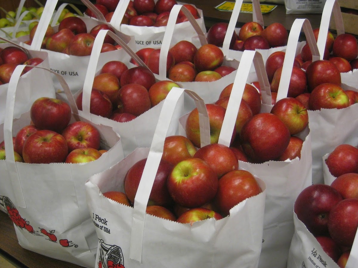 Christ Orchard apple orchard in Elmwood, Illinois