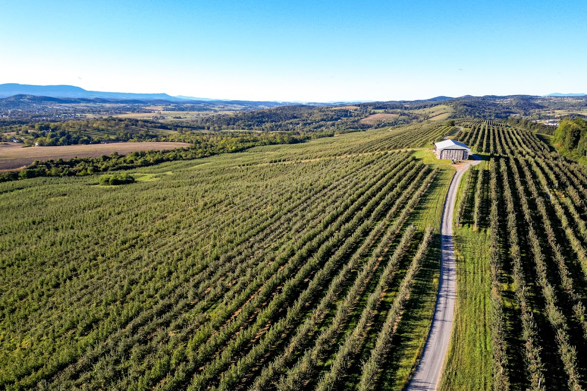 Turkey Knob Growers apple orchard in Timberville, Virginia