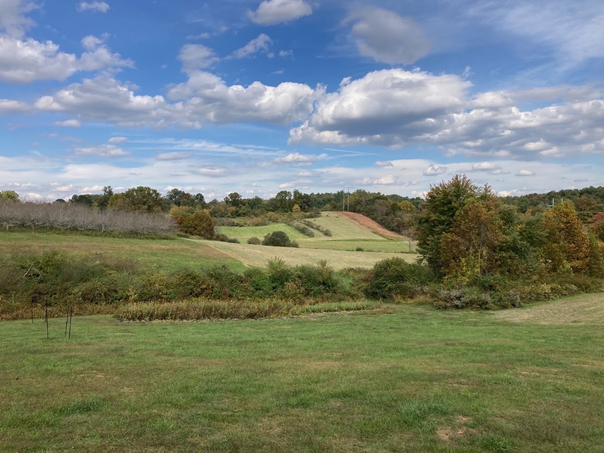 Riverview Orchard apple orchard in Arden, North Carolina