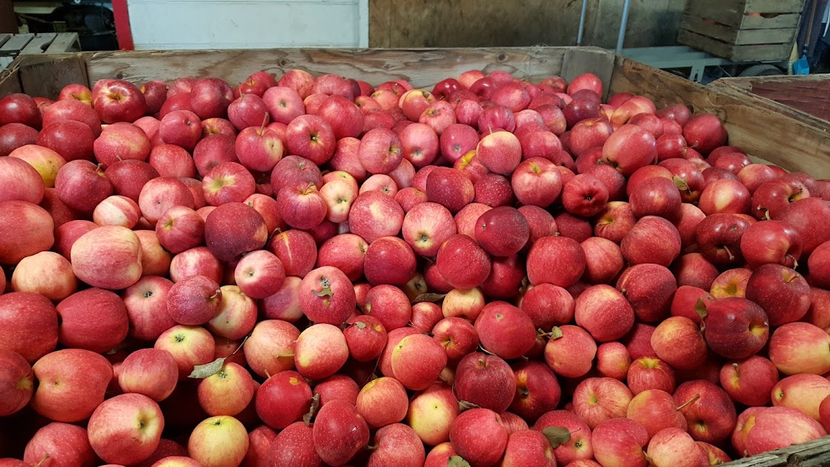 Almar Orchard apple orchard in Flushing, Michigan