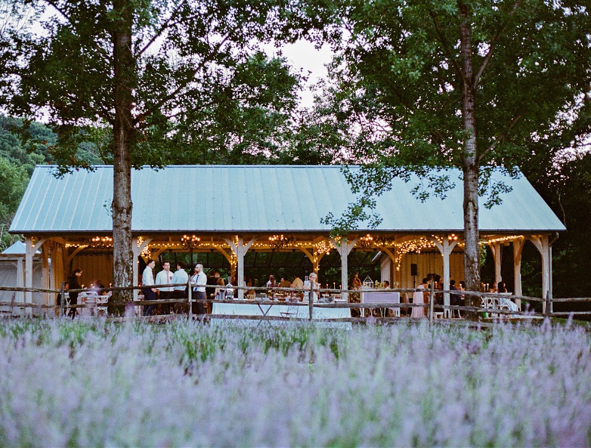 Orchard View Lavender Farm apple orchard in Port Murray, New Jersey