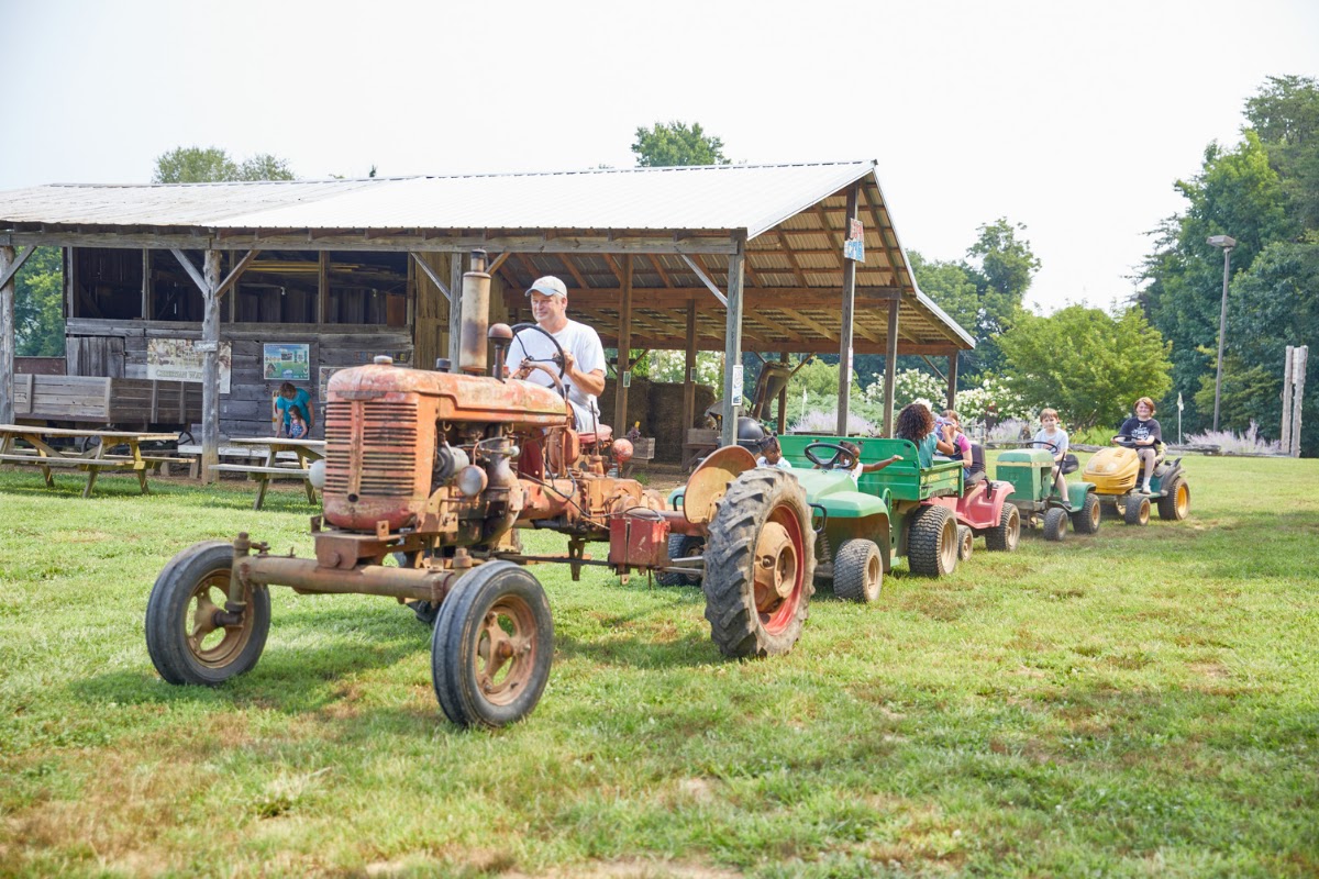 Lovell's Orchard (and pumpkin patch) apple orchard in Hopkinsville, Kentucky