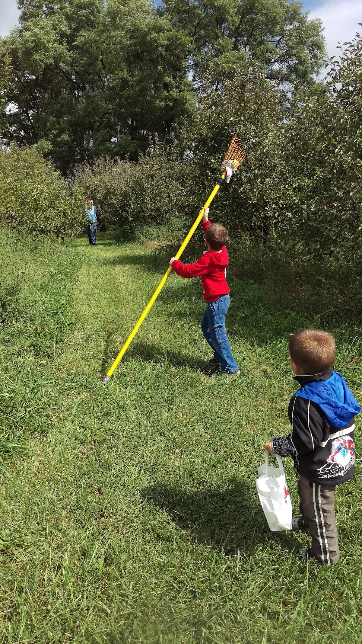 Louden Family Orchard apple orchard in Urbana, Ohio