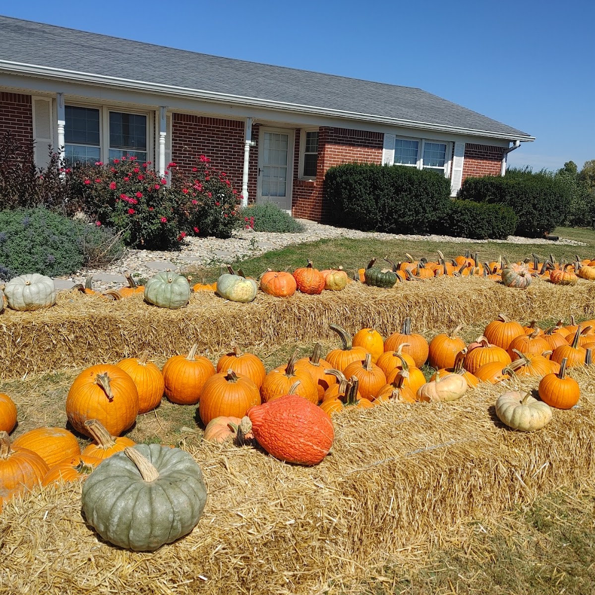 Anderson Orchard, Pleasant View apple orchard in Fairland, Indiana