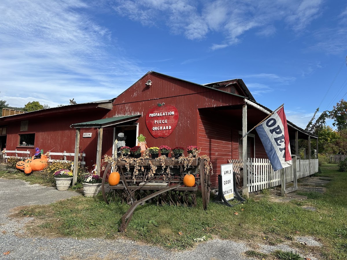 Propagation Piece Orchard apple orchard in Shaftsbury, Vermont