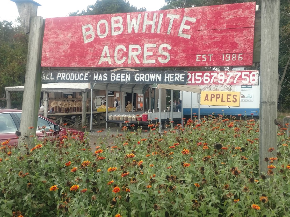 Bob White Acres apple orchard in Coopersburg, Pennsylvania