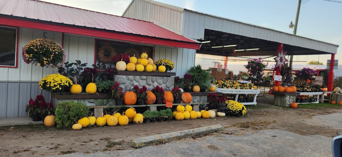 Brown's Family Farm Market apple orchard in Hamilton, Kentucky