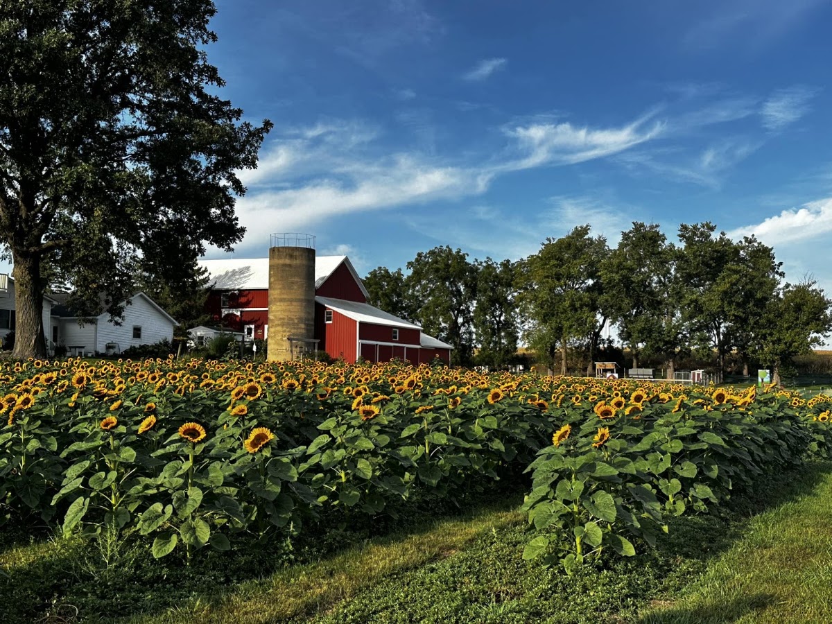 Honey Hill Orchard apple orchard in Waterman, Illinois