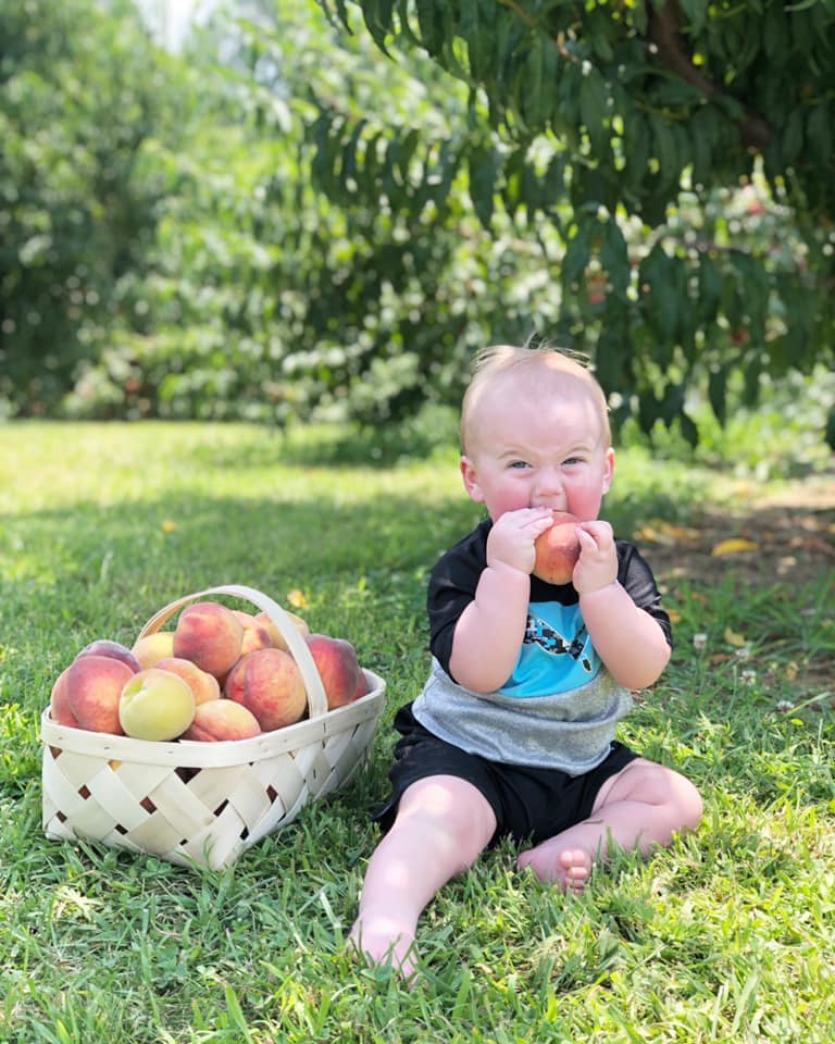 Jeter Mountain Farm Orchard apple orchard in Hendersonville, North Carolina