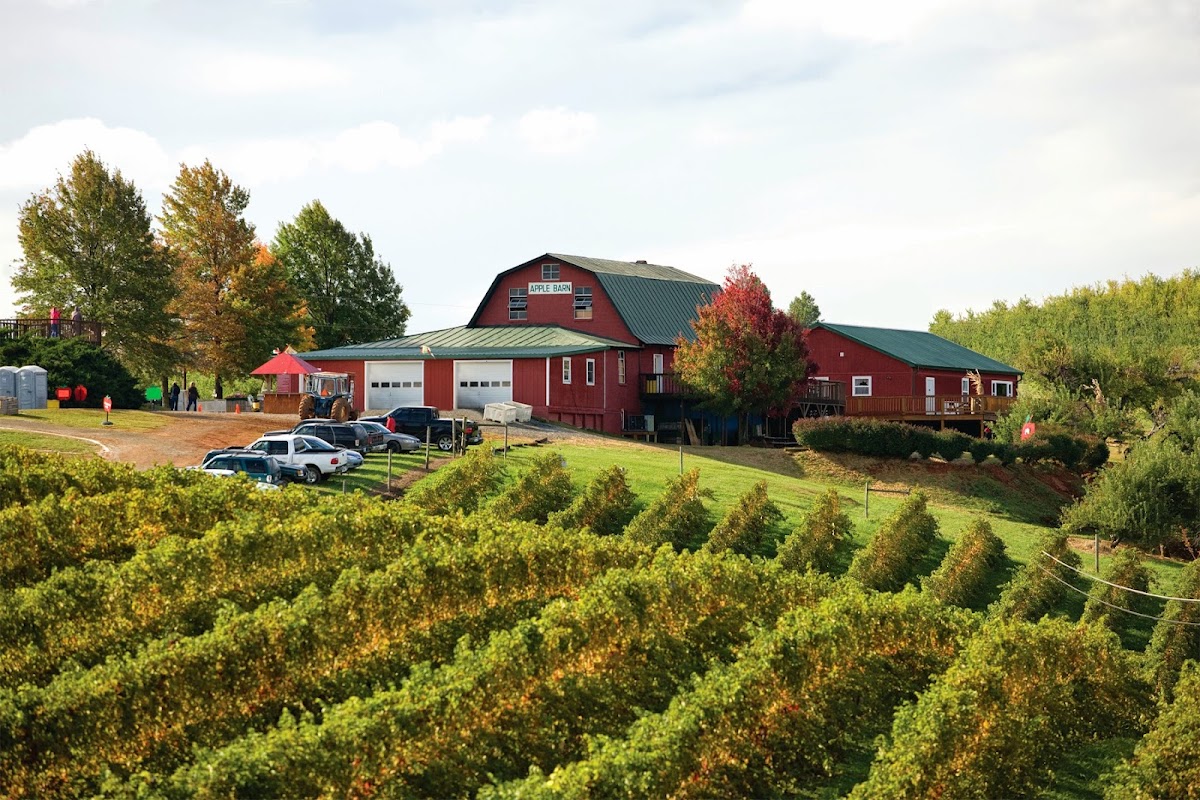 Carter Mountain Orchard apple orchard in Charlottesville, Virginia
