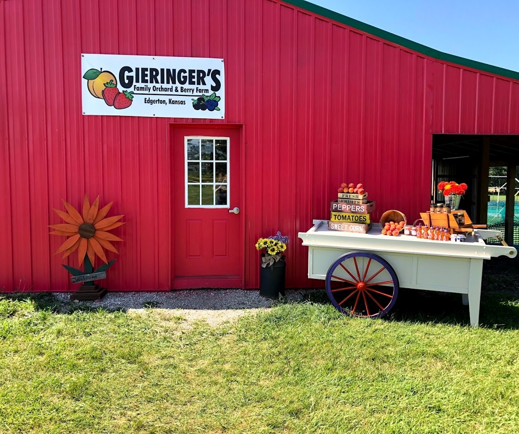 Gieringer's Family Orchard & Berry Farm apple orchard in Edgerton, Kansas