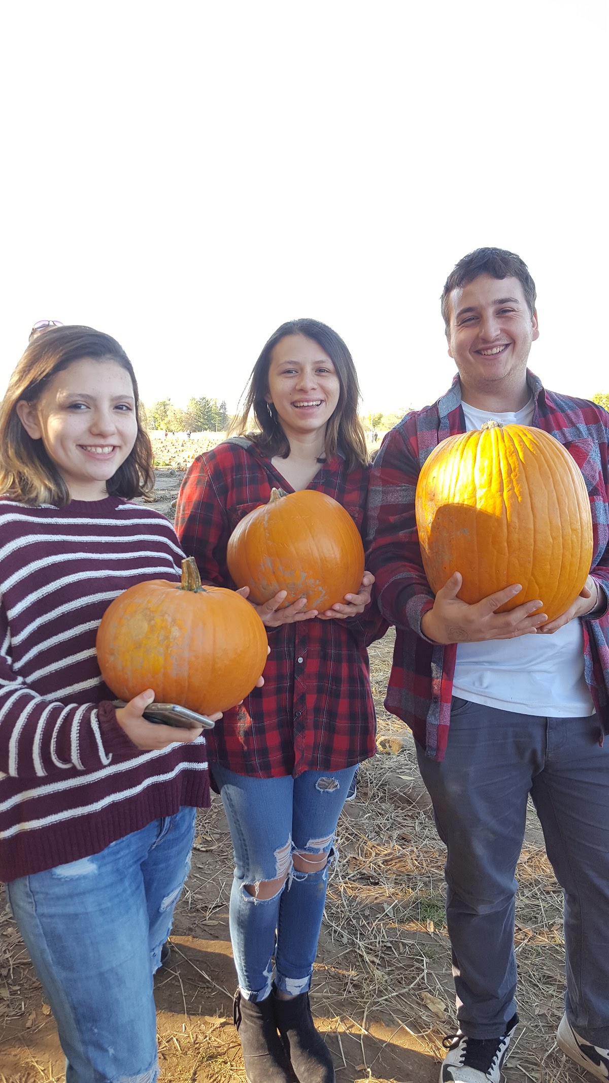 McCracken Farms apple orchard in Brockport, New York