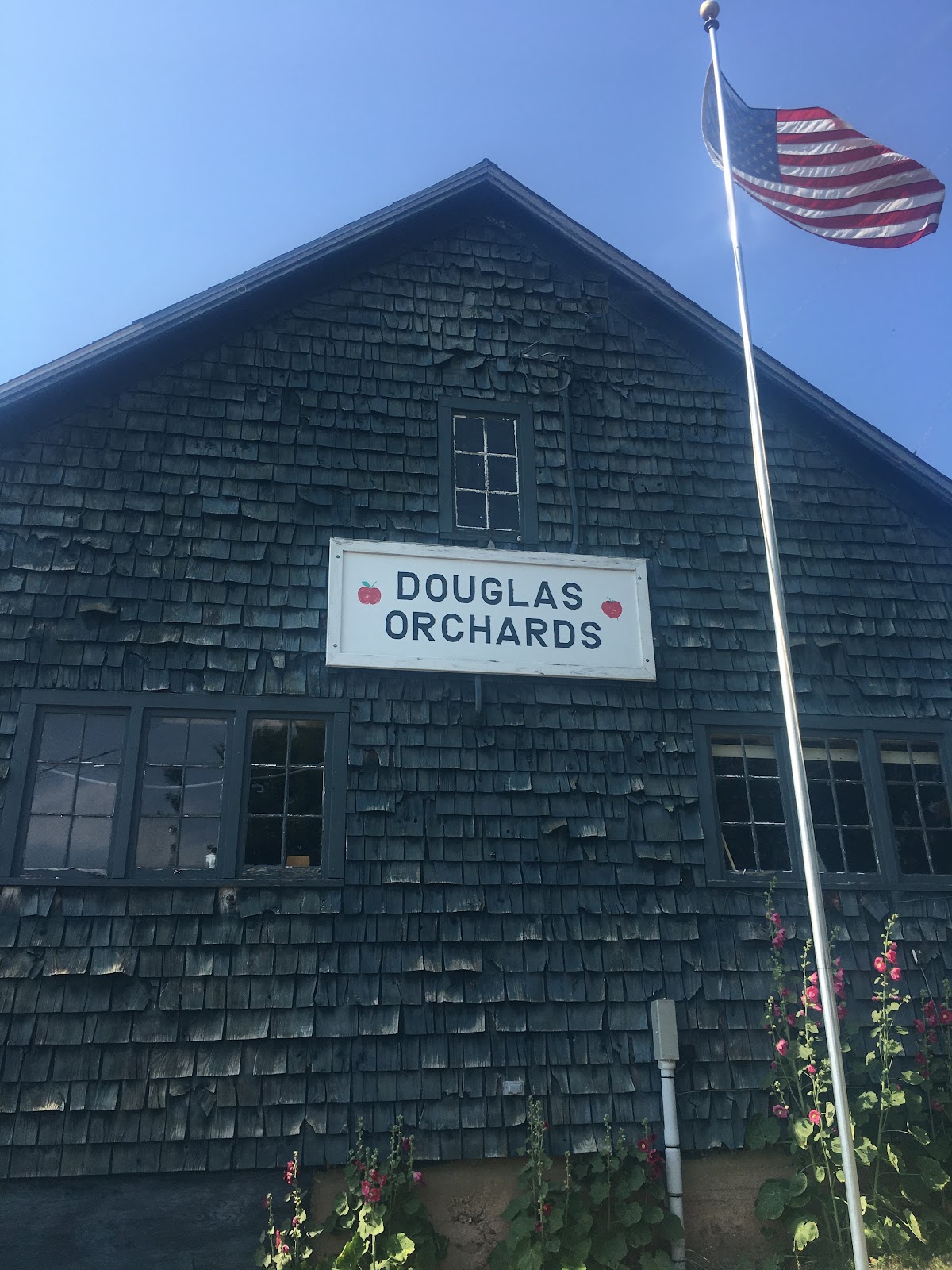 Dreamhouse Orchard apple orchard in Bristol, Vermont