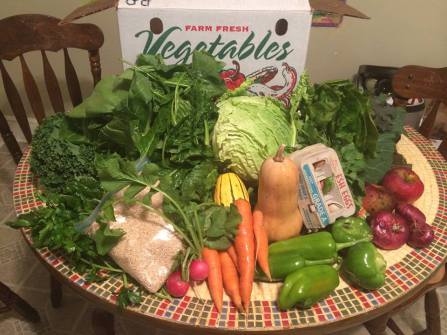 Spiritual Food CSA apple orchard in Bethesda, Maryland